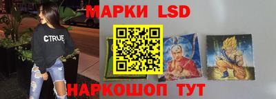 индика Лесосибирск