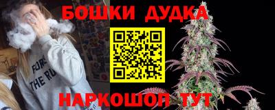 индика Лесосибирск