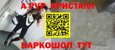 индика Лесосибирск
