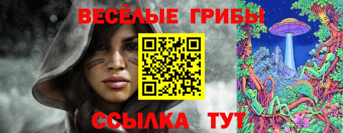 Псилоцибиновые грибы мицелий Горно-Алтайск