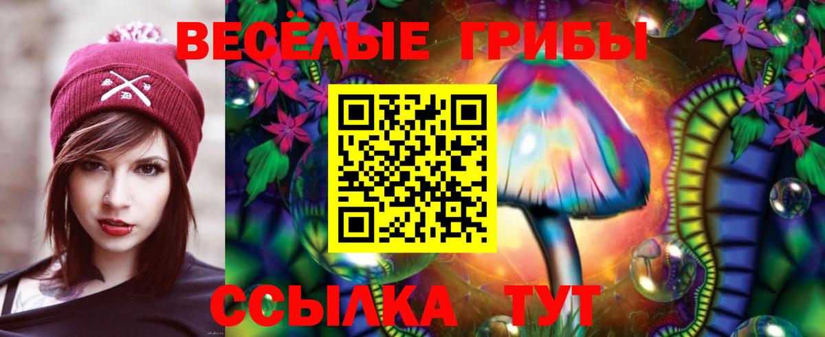 Галлюциногенные грибы мухоморы  Вход с VPN  купить   Галлюциногенные грибы Magic Shrooms  Горно-Алтайск 